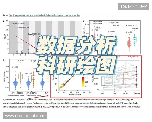 如何利用数据分析提升皇冠体育博彩的盈利？